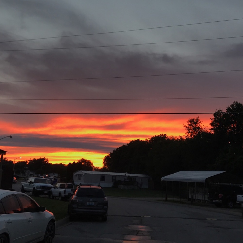 Meet your Posher, Giselle